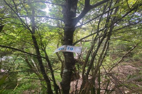 Photo of property in 19 Te Aroha Avenue, Oneroa, Waiheke Island, 1081