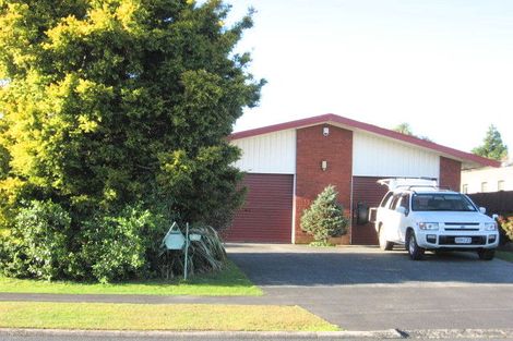 Photo of property in 19 Winstone Avenue, Chartwell, Hamilton, 3210