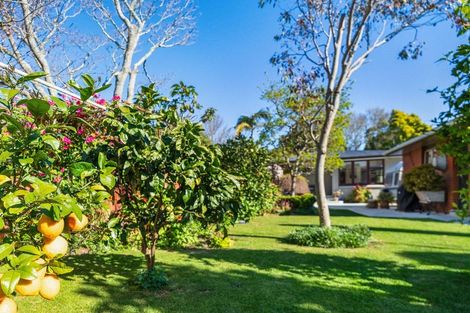 Photo of property in 11 Williams Street, Tauranga, 3110