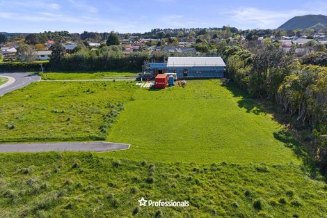 Photo of property in 13 Te Awahohonu Lane, Otaki, 5512