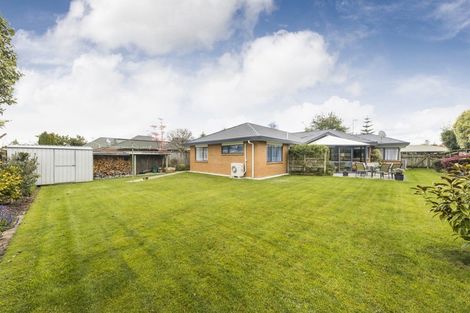 Photo of property in 81 Amberley Avenue, Highbury, Palmerston North, 4412