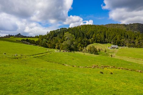 Photo of property in 315 Old Kaipara Road, Kaipara Flats, Warkworth, 0981