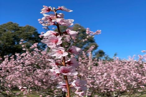 Photo of property in 65 Butterfield Road, Hawea Flat, 9382