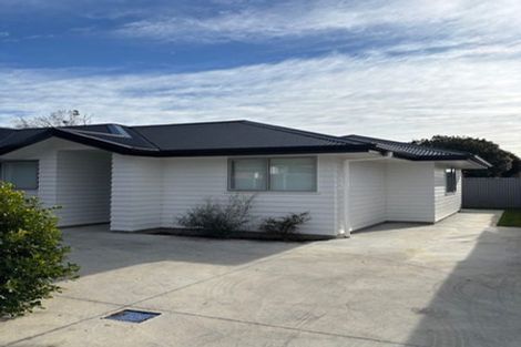 Photo of property in 115a Limbrick Street, Terrace End, Palmerston North, 4410