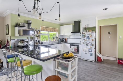 Photo of property in 5 Buckley Road, Shannon, Palmerston North, 4474