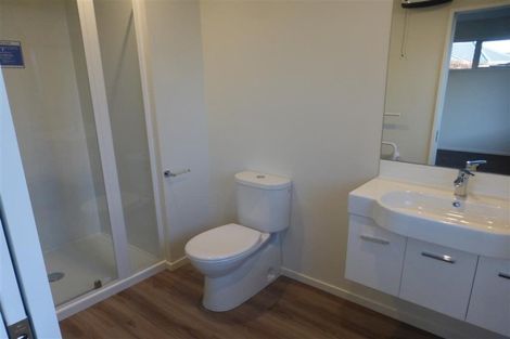 Photo of property in 41 Dalwood Crescent, Rolleston, 7614