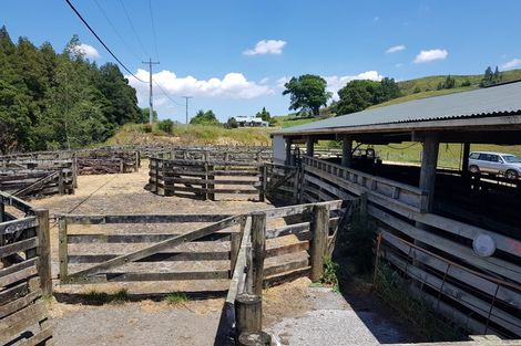 Photo of property in 404 Waitetuna Valley Road, Waitetuna, Raglan, 3295