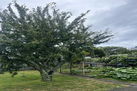 Photo of property in 15 May Street, Gonville, Whanganui, 4501