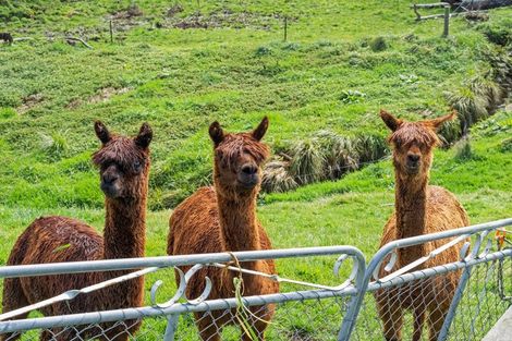 Photo of property in 371 Old Te Aroha Road, Okauia, Matamata, 3471
