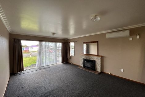 Photo of property in 21 Braemar Street, Levin, 5510