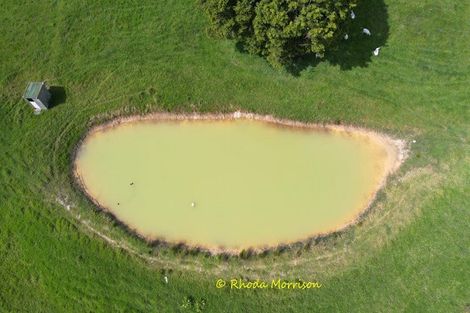 Photo of property in 69 Matakohe Wharf Road, Matakohe, 0593