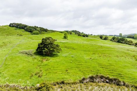 Photo of property in 215c Heatley Road, Whakapirau, 0583