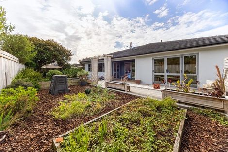 Photo of property in 58 Kotuku Drive, Paraparaumu Beach, Paraparaumu, 5032