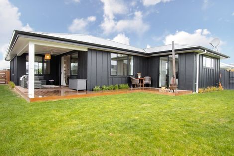 Photo of property in 60 Lochhead Street, Mahora, Hastings, 4120