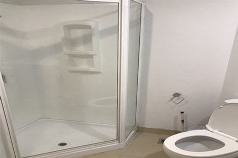 Photo of property in Courtenay Apartments, 409/120 Courtenay Place, Te Aro, Wellington, 6011