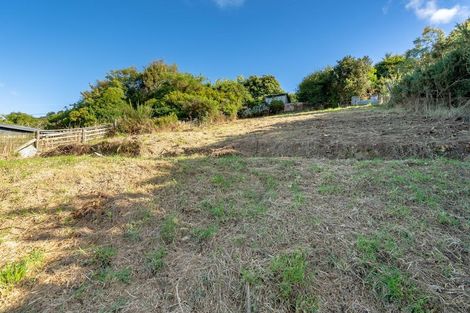 Photo of property in 61 Manapouri Street, Ravensbourne, Dunedin, 9022