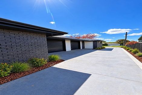 Photo of property in 44 Campbell Street, Leamington, Cambridge, 3432