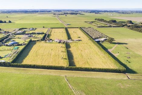 Photo of property in 220 Motuiti Road, Foxton, 4891