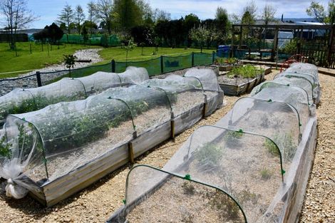 Photo of property in 131 Oparara Road, Karamea, 7893