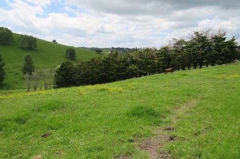 Photo of property in 244 Tinopai Road, Matakohe, 0593