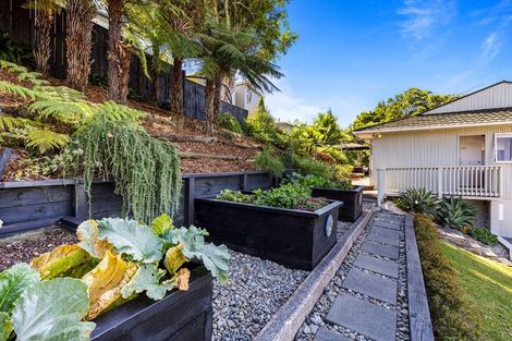 Photo of property in 57 Maxwelton Drive, Mairangi Bay, Auckland, 0630