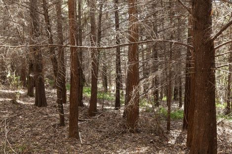 Photo of property in 284 Taylor Road, Taipa, Kaitaia, 0483