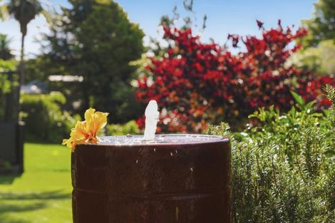 Photo of property in 44 Wallace Road, Te Puna, Tauranga, 3174