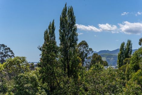 Photo of property in 49 Thompson Terrace, Toi Toi, Nelson, 7010