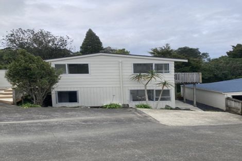 Photo of property in 128 Glamorgan Drive, Torbay, Auckland, 0630