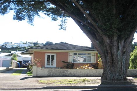 Photo of property in 6 Carnell Street, Napier South, Napier, 4110