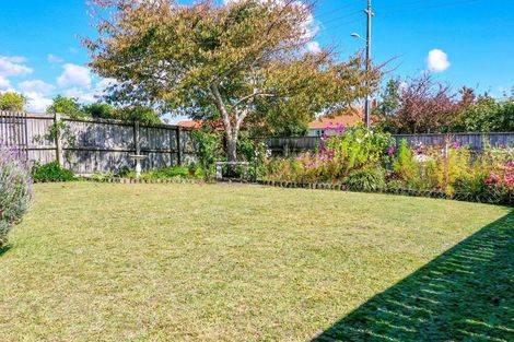 Photo of property in 19 Tuhoe Avenue, Whakatane, 3120