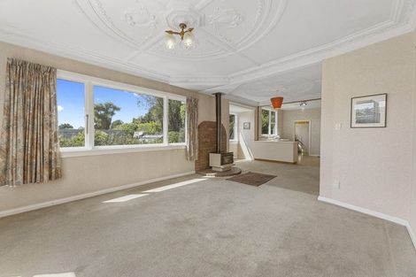Photo of property in 511 South Road, Calton Hill, Dunedin, 9012