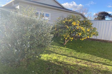 Photo of property in 267 Ruahine Street, Terrace End, Palmerston North, 4410