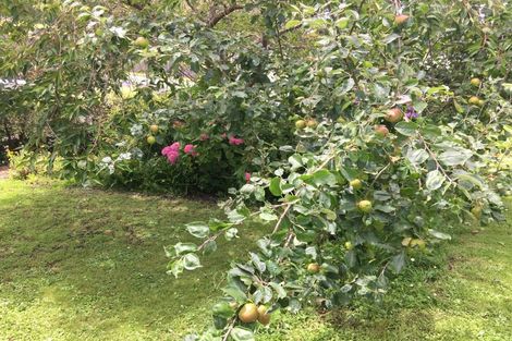 Photo of property in 58 Perth Street, South Hill, Oamaru, 9400