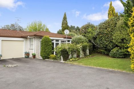 Photo of property in 2a Brookfield Terrace, Brookfield, Tauranga, 3110