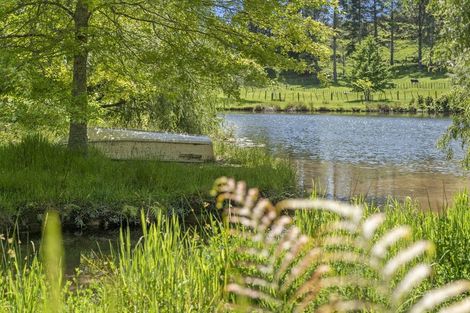 Photo of property in 145 Peers Road, Omanawa, Tauranga, 3171