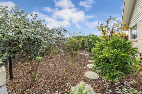 Photo of property in 61 Manse Road, Leeston, 7632