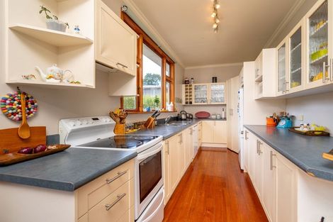 Photo of property in 22 Mitchell Avenue, Maryhill, Dunedin, 9011