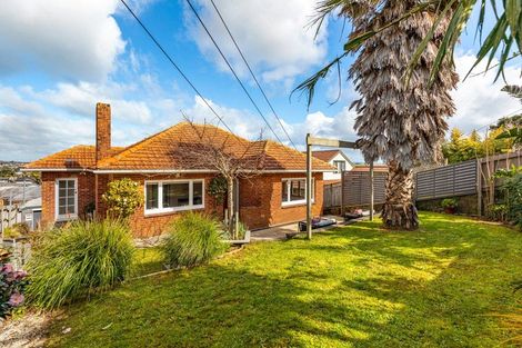 Photo of property in 489 Mount Albert Road, Mount Roskill, Auckland, 1042