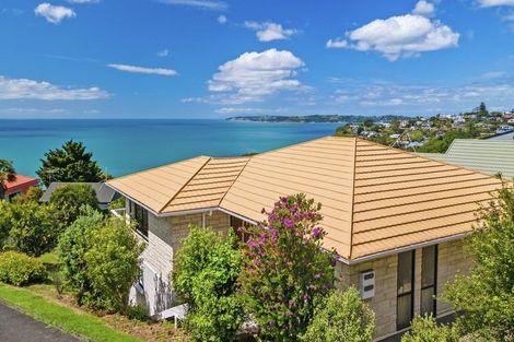 Photo of property in 258 Whangaparaoa Road, Red Beach, 0932