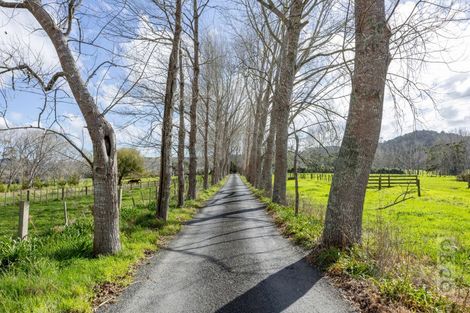 Photo of property in 836 Old North Road, Waimauku, 0882