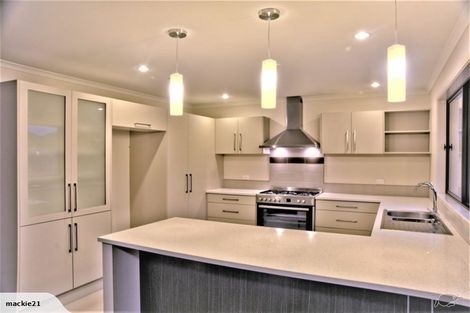 Photo of property in 133 Wentworth Drive, Rototuna North, Hamilton, 3210