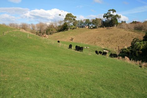 Photo of property in 556 Mangorei Road, Mangorei, New Plymouth, 4371