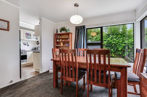 Photo of property in 51a Carey Street, Maeroa, Hamilton, 3200