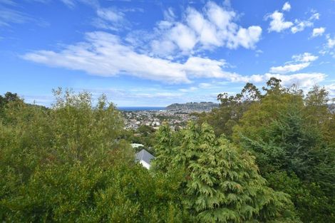 Photo of property in 27 Elliffe Place, Shiel Hill, Dunedin, 9013