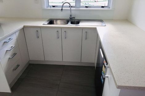 Photo of property in 20 Rogan Street, Mount Roskill, Auckland, 1041