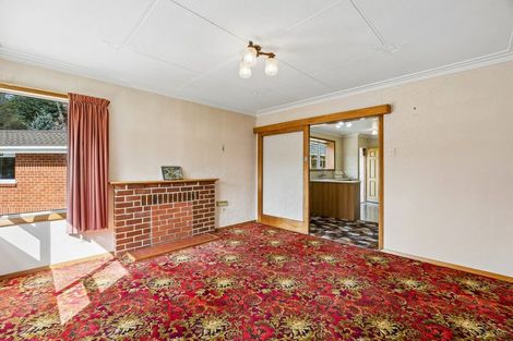 Photo of property in 237 Malvern Street, Glenleith, Dunedin, 9010