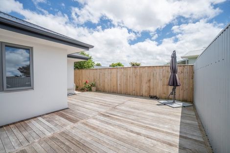 Photo of property in 33b Windsor Street, Terrace End, Palmerston North, 4410