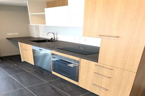 Photo of property in Vsp South, 1101/168 Victoria Street, Te Aro, Wellington, 6011