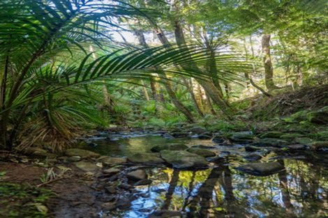 Photo of property in 16 Tarapatiki Drive, Whitianga, 3510